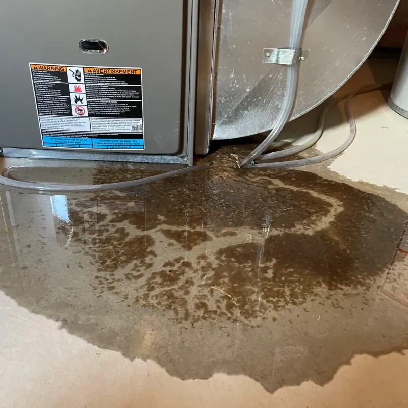 Appliance Leak Cleanup in Gideon, MO