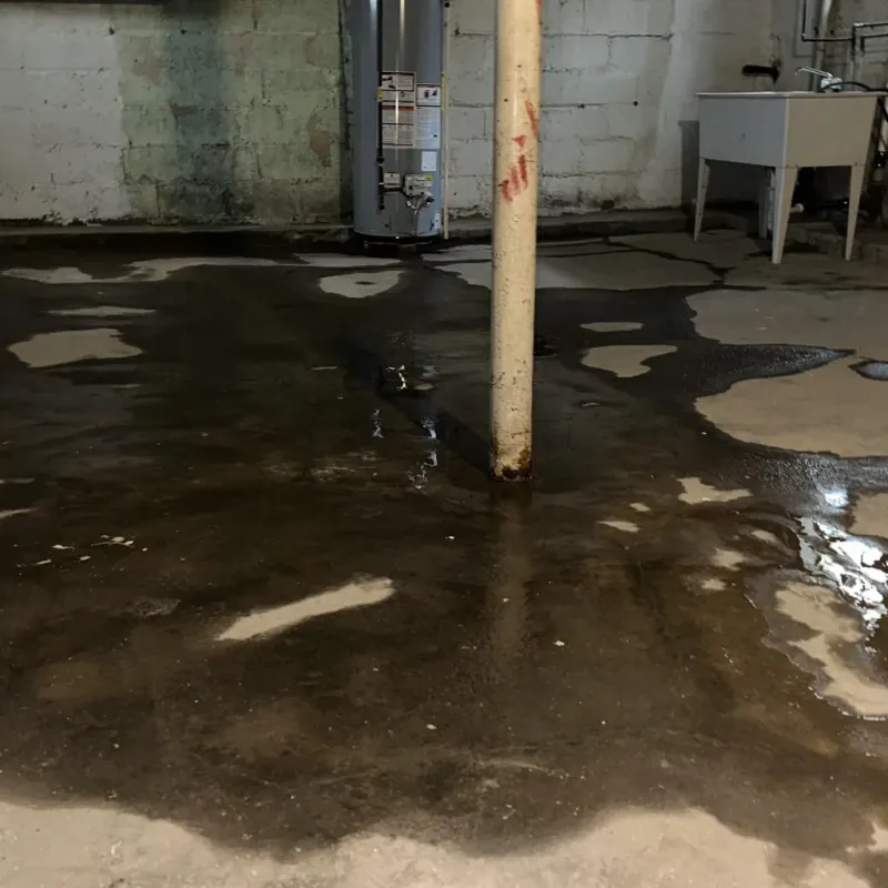 Emergency Water Extraction And Removal in Gideon, MO